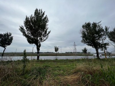 y80000��������