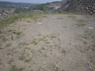 y80000��������