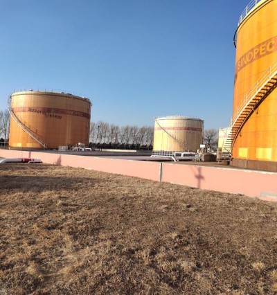 y80000ÓÀÀû¹ÙÍø