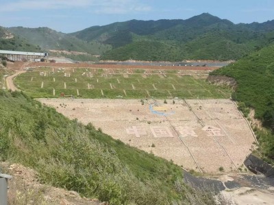 y80000��������