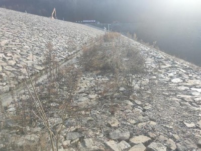 y80000��������