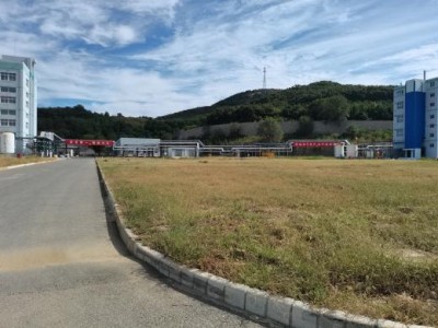 y80000��������