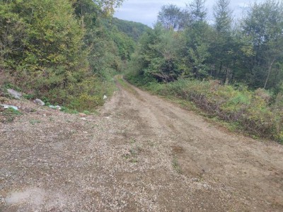 y80000��������