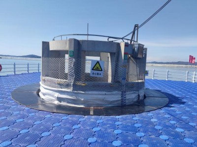 y80000��������