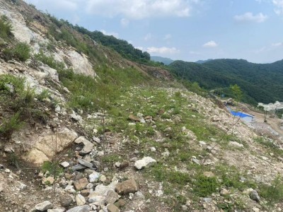 y80000��������