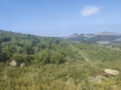 y80000��������