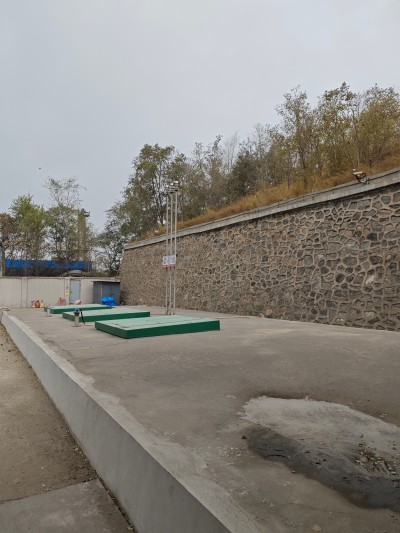 y80000��������