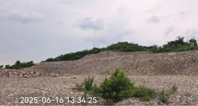 y80000��������