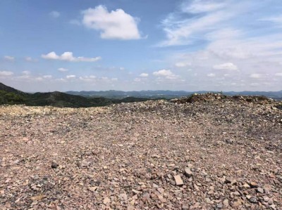 y80000��������