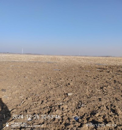 y80000��������