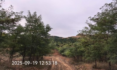 y80000��������