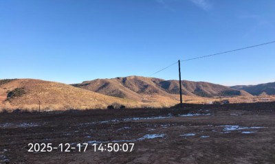 y80000��������